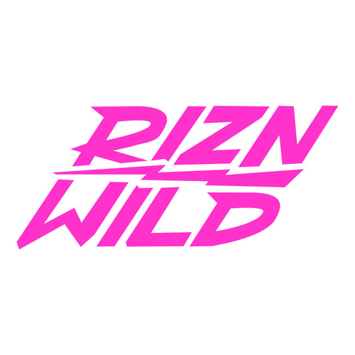 Bolt Decal